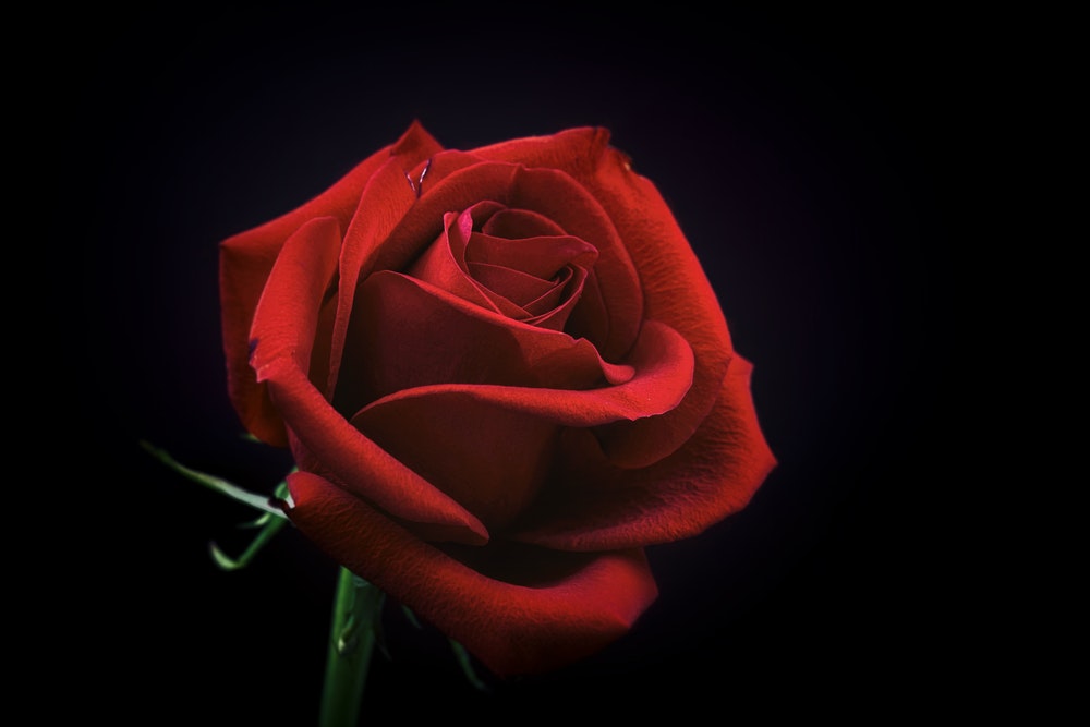 Funeral Arrangements for Mrs. Alena Murray (Mother of Sis Victoria Uddin)